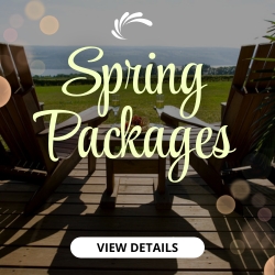 Spring 2025 Packages